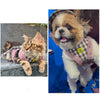 A+a Pets Fur Harness & Leash Set For Cats & Small Dogs