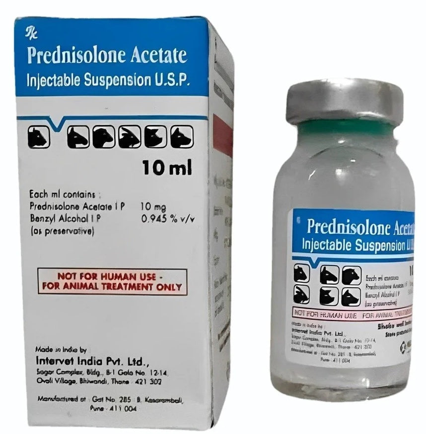 Intervet Prednisolone Injection Suspension For Dogs & Cats