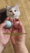Paw Story Automatic Rotating Rolling Cat Teaser Ball with LED Light (Color May Vary)