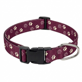 Kennel Printed Collar – Purple Paws