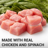 Schesir Chicken & Rice With Spinach In Jelly Dog Tin