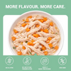 Schesir Chicken & Rice With Carrot In Jelly Dog Tin