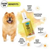 Papa Pawsome Shine On Waterless Shampoo