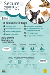 Kennel QR Code Smart Pet ID Tag in Bone-Shaped Aluminium with Custom Engraved Name, Number or Both
