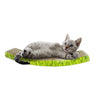 Smarty Pet Cat Cardboard Slim Arch Scratching Pad