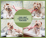 Nunbell 3-in-1 Oral Care Dental Kit for Pets – (3 PCS)