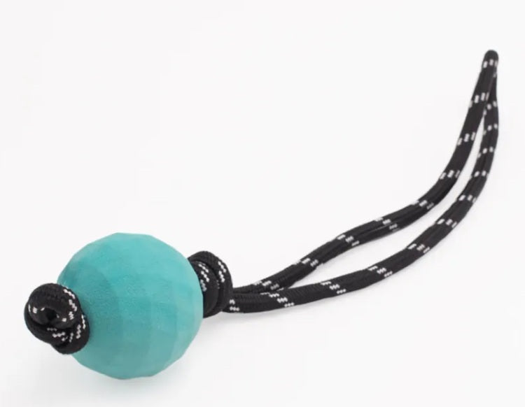 Fofos Zippypaws Zippy Tuff Waggle Ropetugz For Dogs