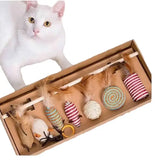 Holy Paws Single Cat Wand Toy With Assorted Toy Designs
