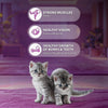 Whiskas Kitten Mackerel Flavour Cat Dry Food