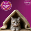 Whiskas Kitten Mackerel Flavour Cat Dry Food