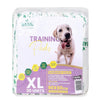 Basil Dog Training Pads - 90 x 60 cm